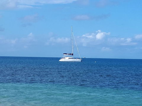 Afternoon Low Isles Snorkeling And Sailing Cruise From Port Douglas - Accommodation Main Beach 7