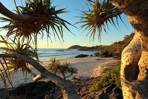 Overnight Tweed Coast Camping And Surfing Getaway From The Gold Coast - Accommodation Main Beach 1