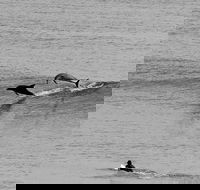 Overnight Tweed Coast Camping and Surfing Getaway From The Gold Coast - Accommodation Main Beach