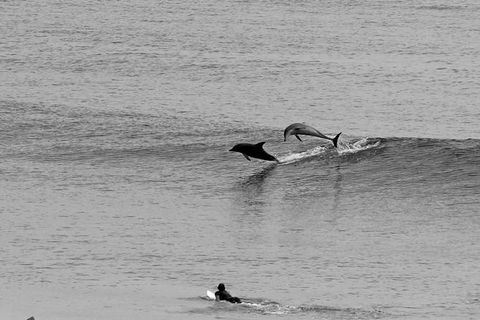 Overnight Tweed Coast Camping And Surfing Getaway From The Gold Coast - Accommodation Main Beach 0