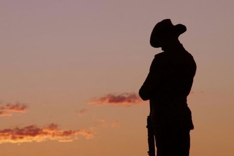 Townsville And The Australian Army: Walking History Tour With Optional City Sightseeing - Accommodation Main Beach 0