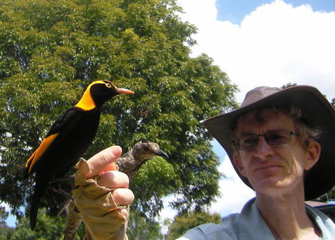 O'Reilly's Lamington National Park And Treetop Canopy Tour - Accommodation Main Beach 4