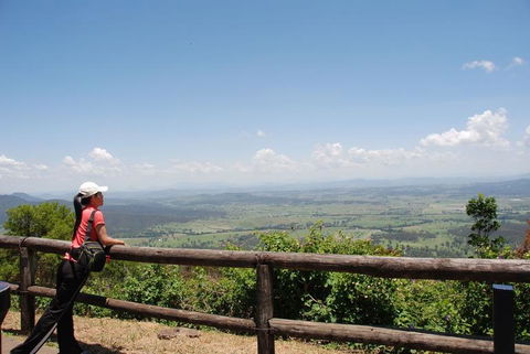 O'Reilly's Lamington National Park And Treetop Canopy Tour - Accommodation Main Beach 6