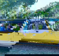 3.5 hour Eco Tour - Accommodation Main Beach