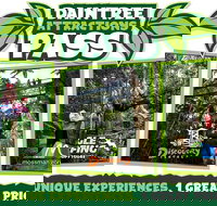 Daintree Atttractions Pass The Best of the Daintree in a Day - Accommodation Main Beach