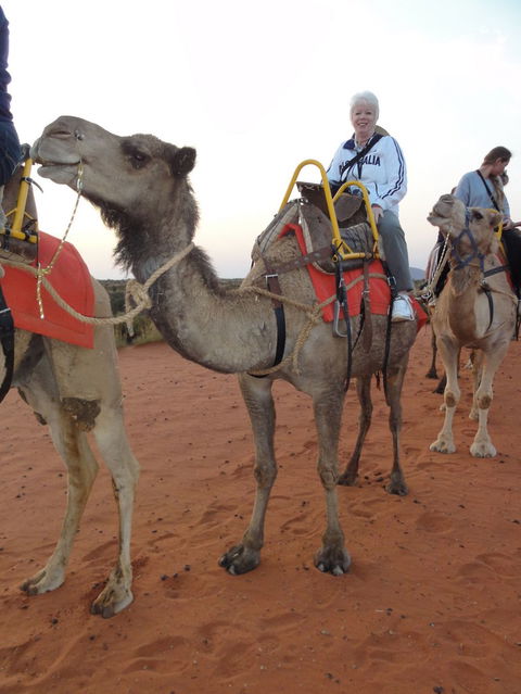 Uluru Small-Group Tour By Camel At Sunrise Or Sunset - Accommodation Main Beach 2