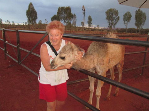 Uluru Small-Group Tour By Camel At Sunrise Or Sunset - Accommodation Main Beach 18