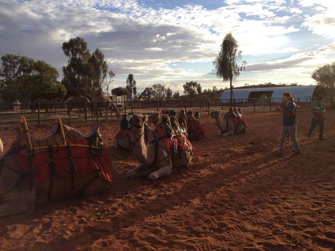 Uluru Small-Group Tour By Camel At Sunrise Or Sunset - Accommodation Main Beach 23