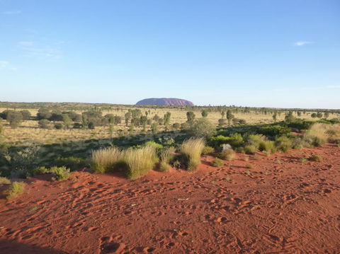 Uluru Small-Group Tour By Camel At Sunrise Or Sunset - Accommodation Main Beach 9