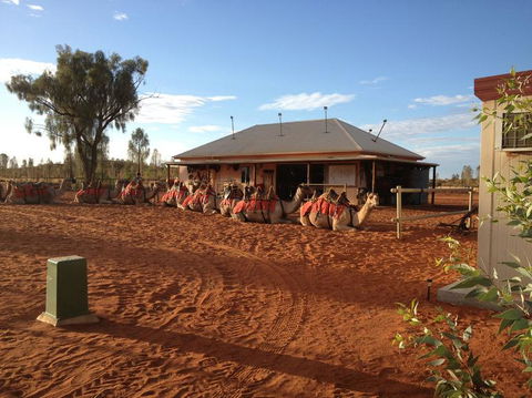 Uluru Small-Group Tour By Camel At Sunrise Or Sunset - Accommodation Main Beach 19