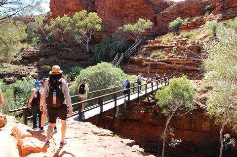 Kings Canyon Day Trip From Ayers Rock - Accommodation Main Beach 19