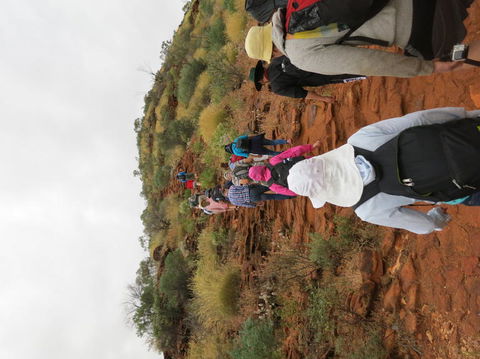 Kings Canyon Day Trip From Ayers Rock - Accommodation Main Beach 14