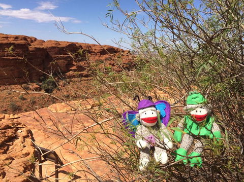 Kings Canyon Day Trip From Ayers Rock - Accommodation Main Beach 23