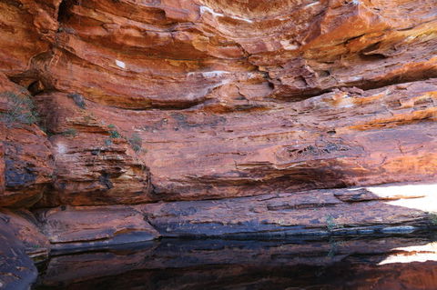 Kings Canyon Day Trip From Ayers Rock - Accommodation Main Beach 16