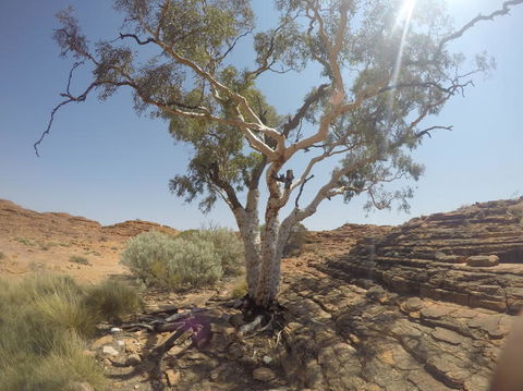 Kings Canyon Day Trip From Ayers Rock - Accommodation Main Beach 3