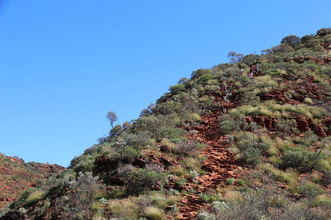 Kings Canyon Day Trip From Ayers Rock - Accommodation Main Beach 21