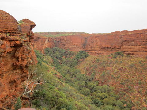 Kings Canyon Day Trip From Ayers Rock - Accommodation Main Beach 13