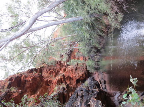 Kings Canyon Day Trip From Ayers Rock - Accommodation Main Beach 11