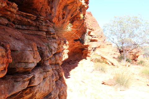 Kings Canyon Day Trip From Ayers Rock - Accommodation Main Beach 20