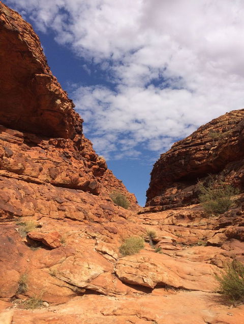 Kings Canyon Day Trip From Ayers Rock - Accommodation Main Beach 25