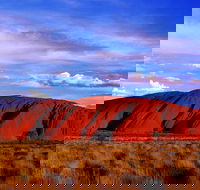 Uluru and Kata Tjuta Experience with BBQ Dinner - Accommodation Main Beach