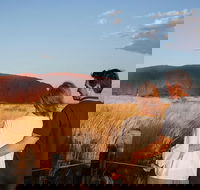 Uluru Ayers Rock Sunset with Outback Barbecue Dinner and Star Tour - Accommodation Main Beach