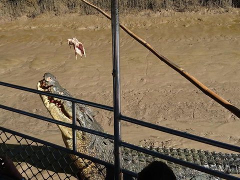 Litchfield And Jumping Crocodiles Full Day Trip From Darwin - Accommodation Main Beach 5