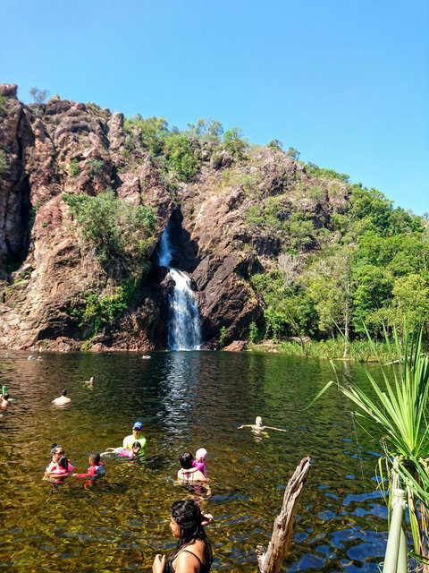 Litchfield And Jumping Crocodiles Full Day Trip From Darwin - Accommodation Main Beach 3
