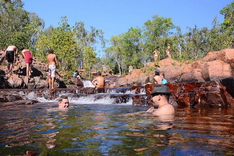 Litchfield And Jumping Crocodiles Full Day Trip From Darwin - Accommodation Main Beach 0