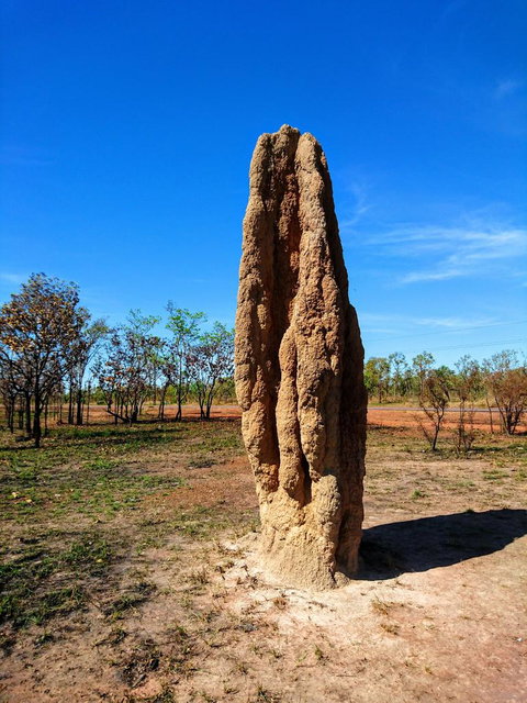 Litchfield And Jumping Crocodiles Full Day Trip From Darwin - Accommodation Main Beach 4