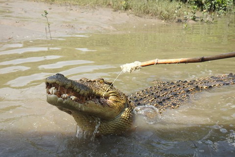 Litchfield And Jumping Crocodiles Full Day Trip From Darwin - Accommodation Main Beach 17