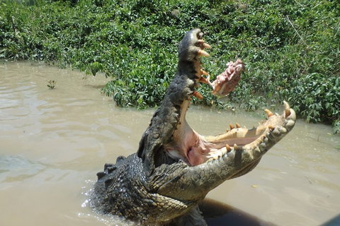Litchfield And Jumping Crocodiles Full Day Trip From Darwin - Accommodation Main Beach 18