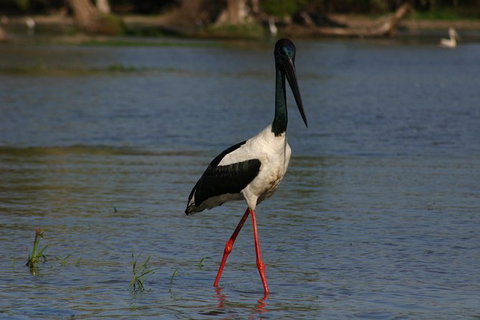 Litchfield And Jumping Crocodiles Full Day Trip From Darwin - Accommodation Main Beach 13