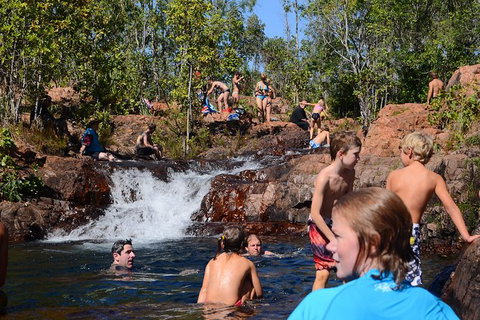 Litchfield And Jumping Crocodiles Full Day Trip From Darwin - Accommodation Main Beach 10