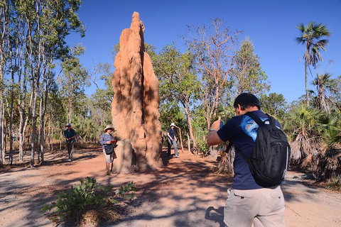 Litchfield And Jumping Crocodiles Full Day Trip From Darwin - Accommodation Main Beach 16