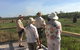 Litchfield And Jumping Crocodiles Full Day Trip From Darwin - thumb 12