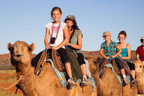 Alice Springs Camel Tour - Accommodation Main Beach 0