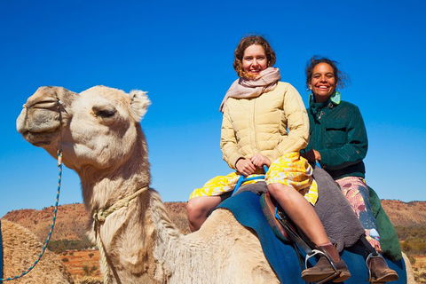 Alice Springs Camel Tour - Accommodation Main Beach 8
