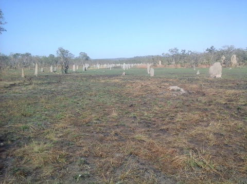 Litchfield National Park Day Tour From Darwin - Accommodation Main Beach 13