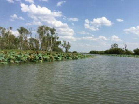 1 Day Corroboree Billabong Wetland Experience Including 2.5 Hour Cruise + Lunch - Accommodation Main Beach 4