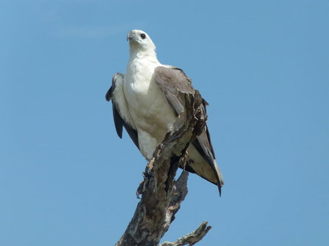 1 Day Corroboree Billabong Wetland Experience Including 2.5 Hour Cruise + Lunch - Accommodation Main Beach 2
