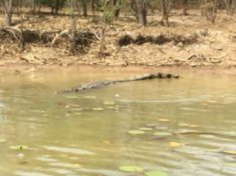 1 Day Corroboree Billabong Wetland Experience Including 2.5 Hour Cruise + Lunch - Accommodation Main Beach 5