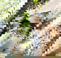 Small-Group Litchfield National Park Day Trip from Darwin