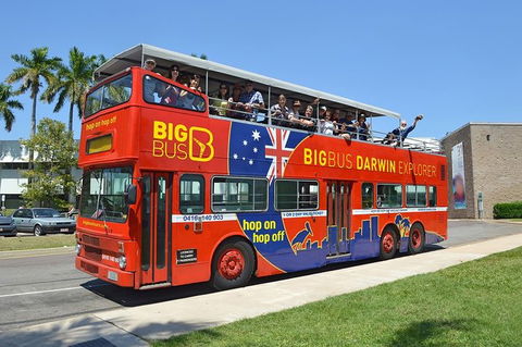 Darwin Shore Excursion: Hop-on Hop-off Bus Tour - Accommodation Main Beach 12