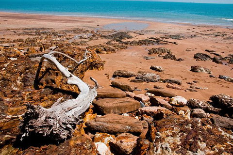 Darwin Shore Excursion: Hop-on Hop-off Bus Tour - Accommodation Main Beach 9
