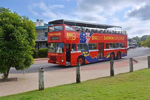 Darwin Shore Excursion: Hop-on Hop-off Bus Tour - Accommodation Main Beach 4