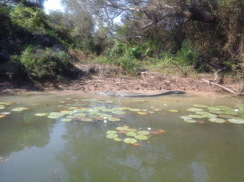 3-Day Kakadu National Park And Arnhem Land Explorer Tour From Darwin - Accommodation Main Beach 23