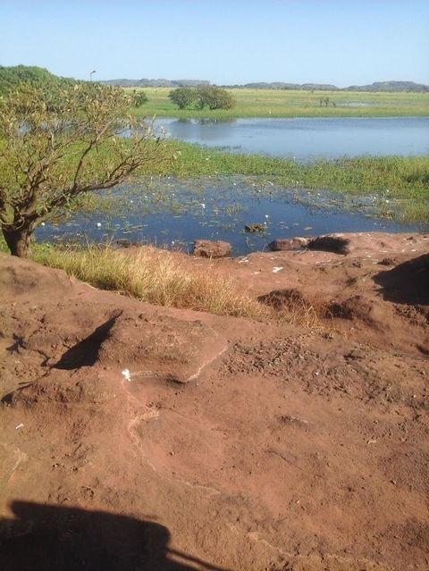 3-Day Kakadu National Park And Arnhem Land Explorer Tour From Darwin - Accommodation Main Beach 22