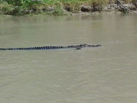 3-Day Kakadu National Park And Arnhem Land Explorer Tour From Darwin - Accommodation Main Beach 7