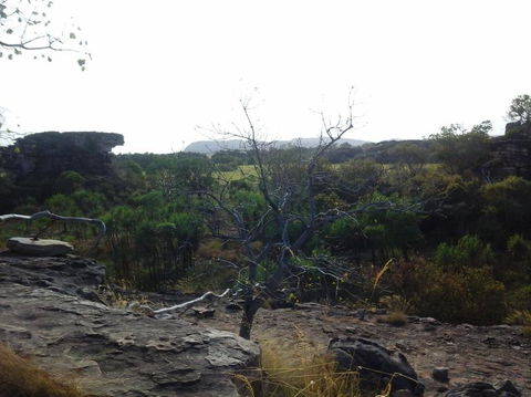3-Day Kakadu National Park And Arnhem Land Explorer Tour From Darwin - Accommodation Main Beach 14